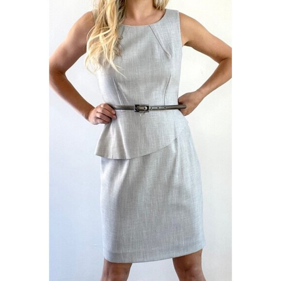 Antonio Melani Dress 12 Gray Stretch Python Belt Sleeveless Career Church - Picture 3 of 12